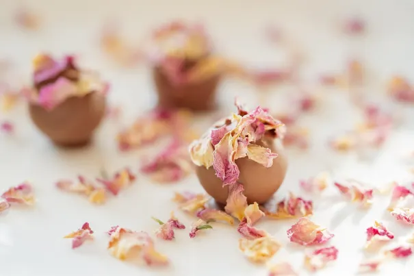 Kasino Chilli Spins Android/iOS Aplikácia